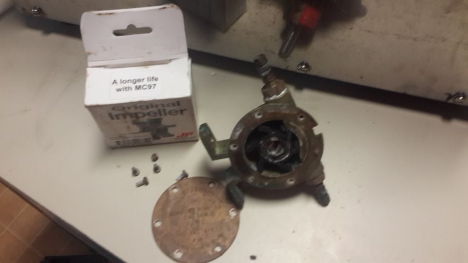 Heavy duty Johnson FB4-8 impeller driven 220 volt mains driven water pump with s