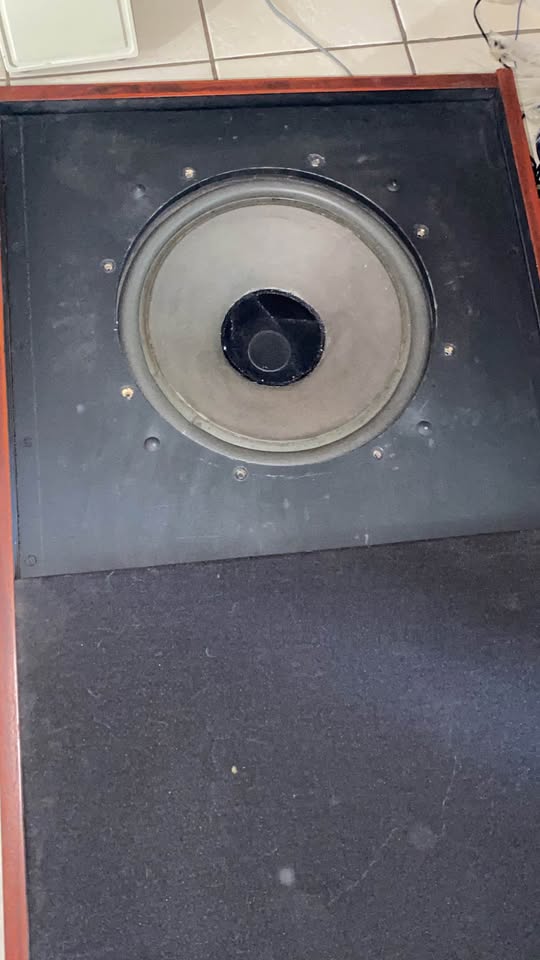 TANNOY 15” DUAL CONCENTRIC  URGENT SALE - DU 386 Limited Time offer