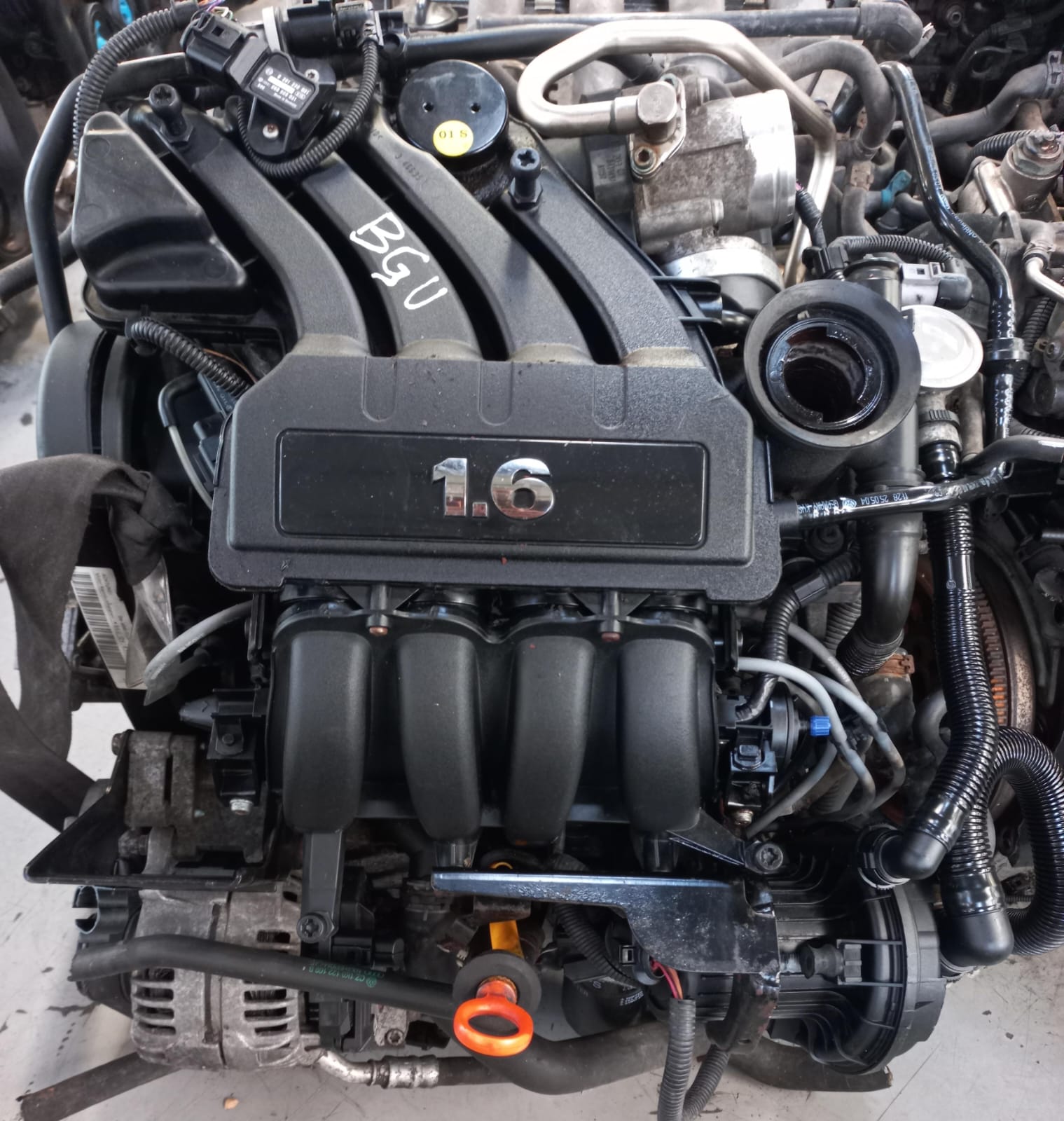 Volkswagen Golf 5 - 1.6 4 CYL Petrol Engine (BGU)