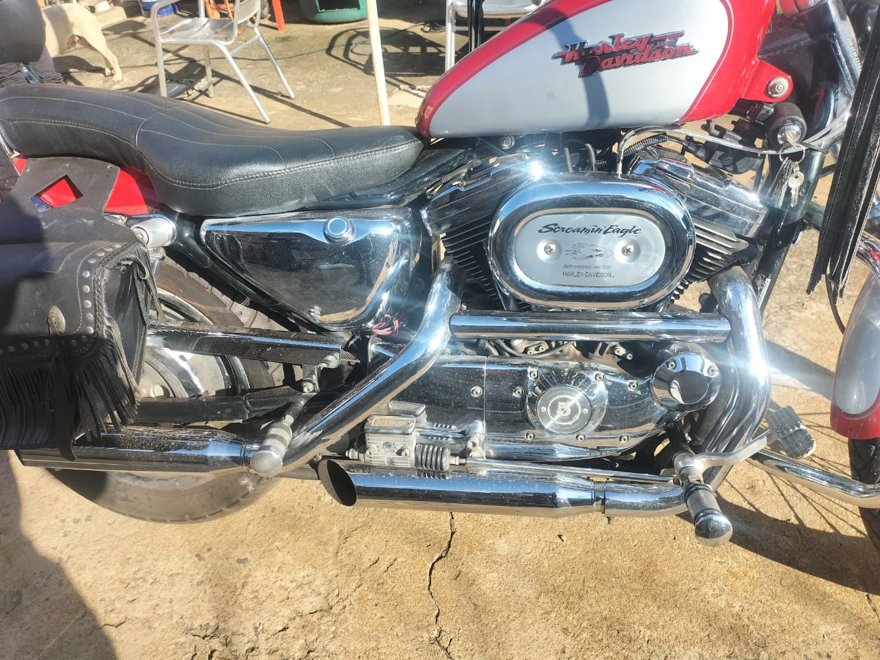 Used 2002 Harley Davidson Sportster 1200 Custom - Private Seller