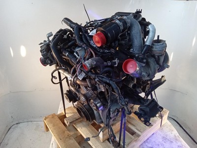 Nissan YD25 2.5L Turbo Diesel Engine - Private Seller Nissan YD25 2.5L Turbo Diesel Engine - Private Seller