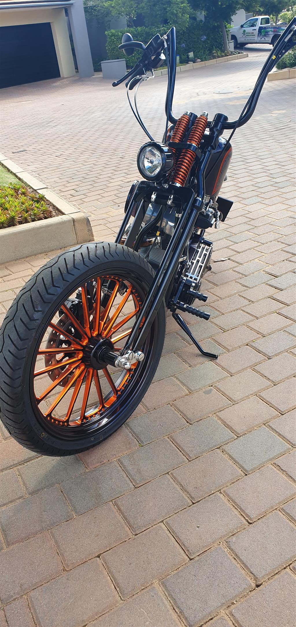 2008 Harley Davidson Custom