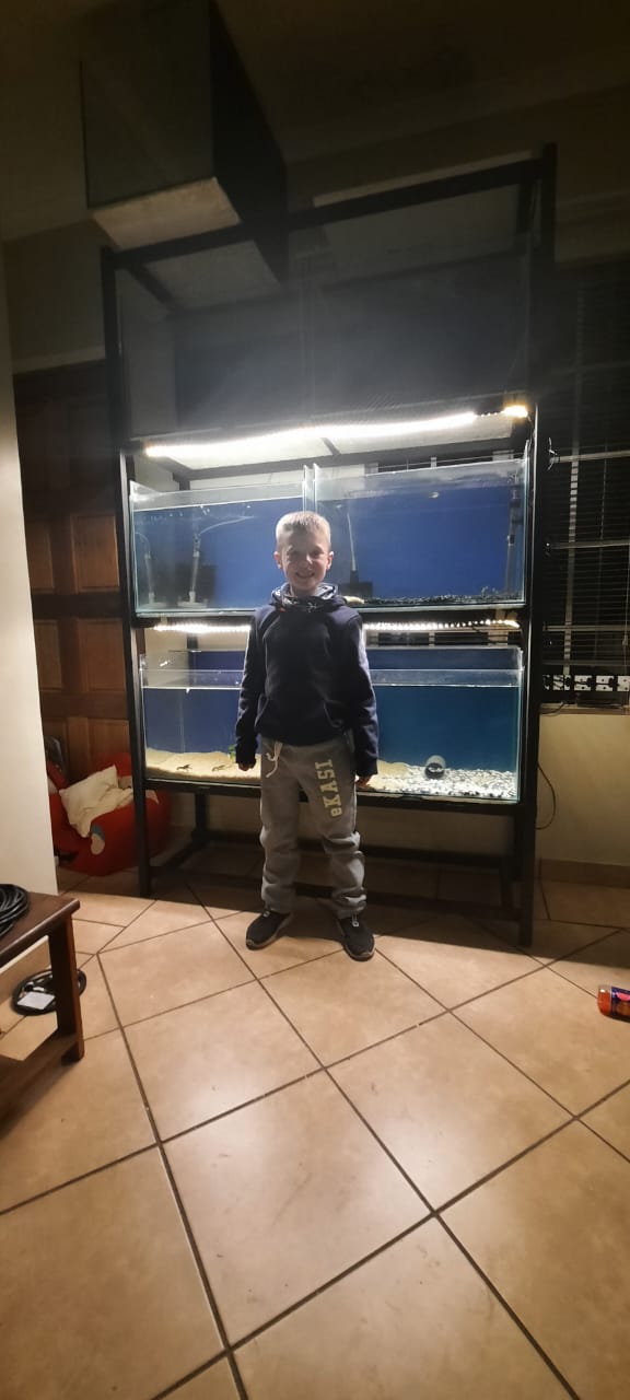 Fishtanks and Stand 