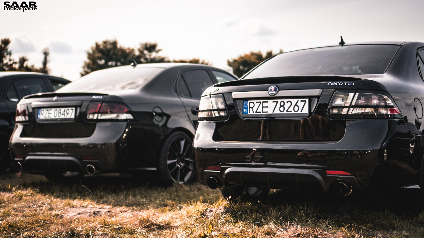 Saab/Cadillac bls parts diagnostics and programming