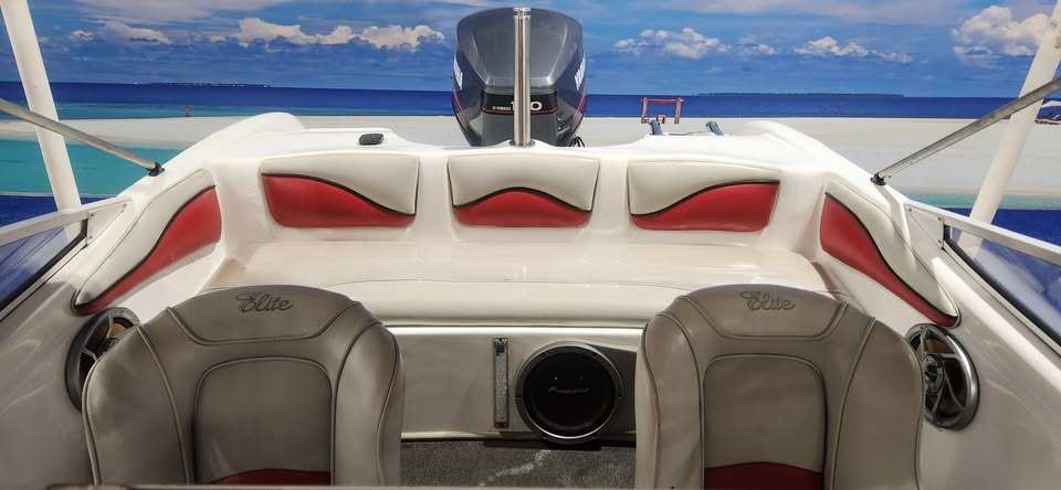 2008 RAVEN ELITE  17 FT BOWRIDER