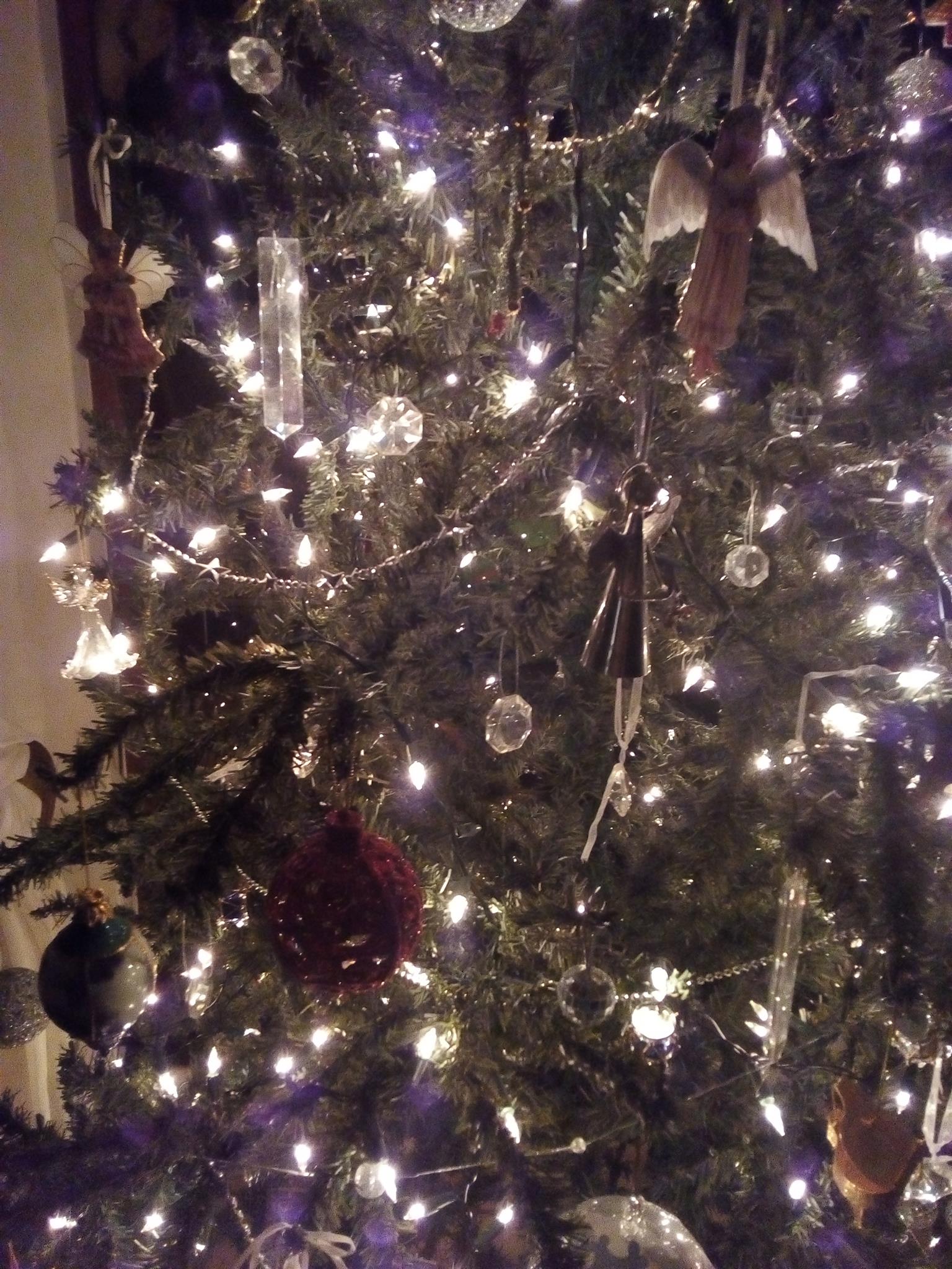 Six foot Christmas tree for sale