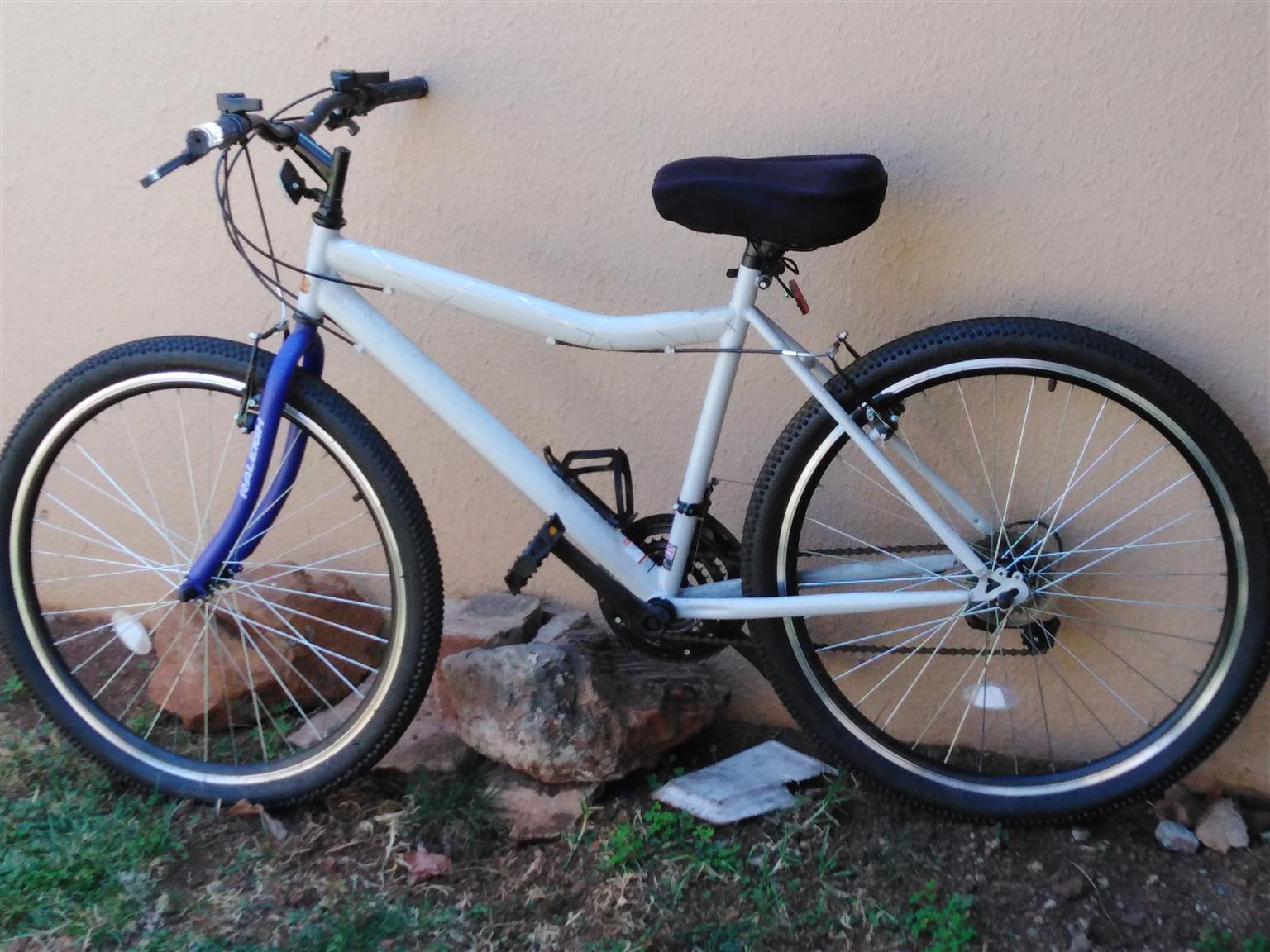 raleigh 26 inch bike