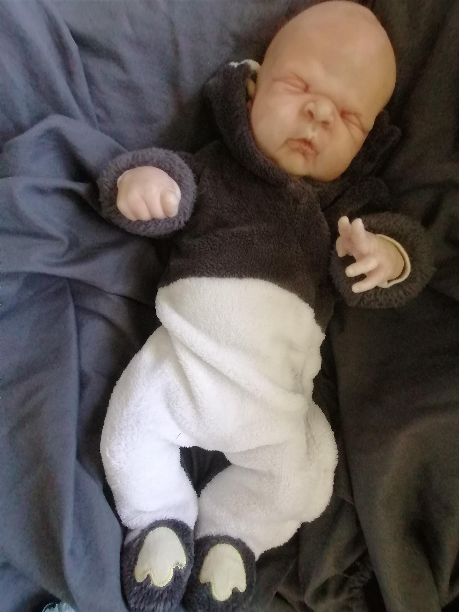 3 pre-loved Reborn babies