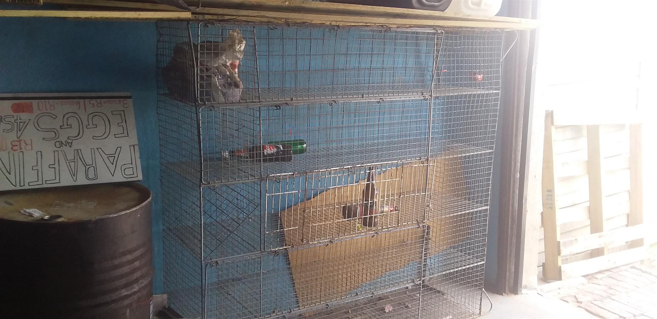 Chicken Cage for sale