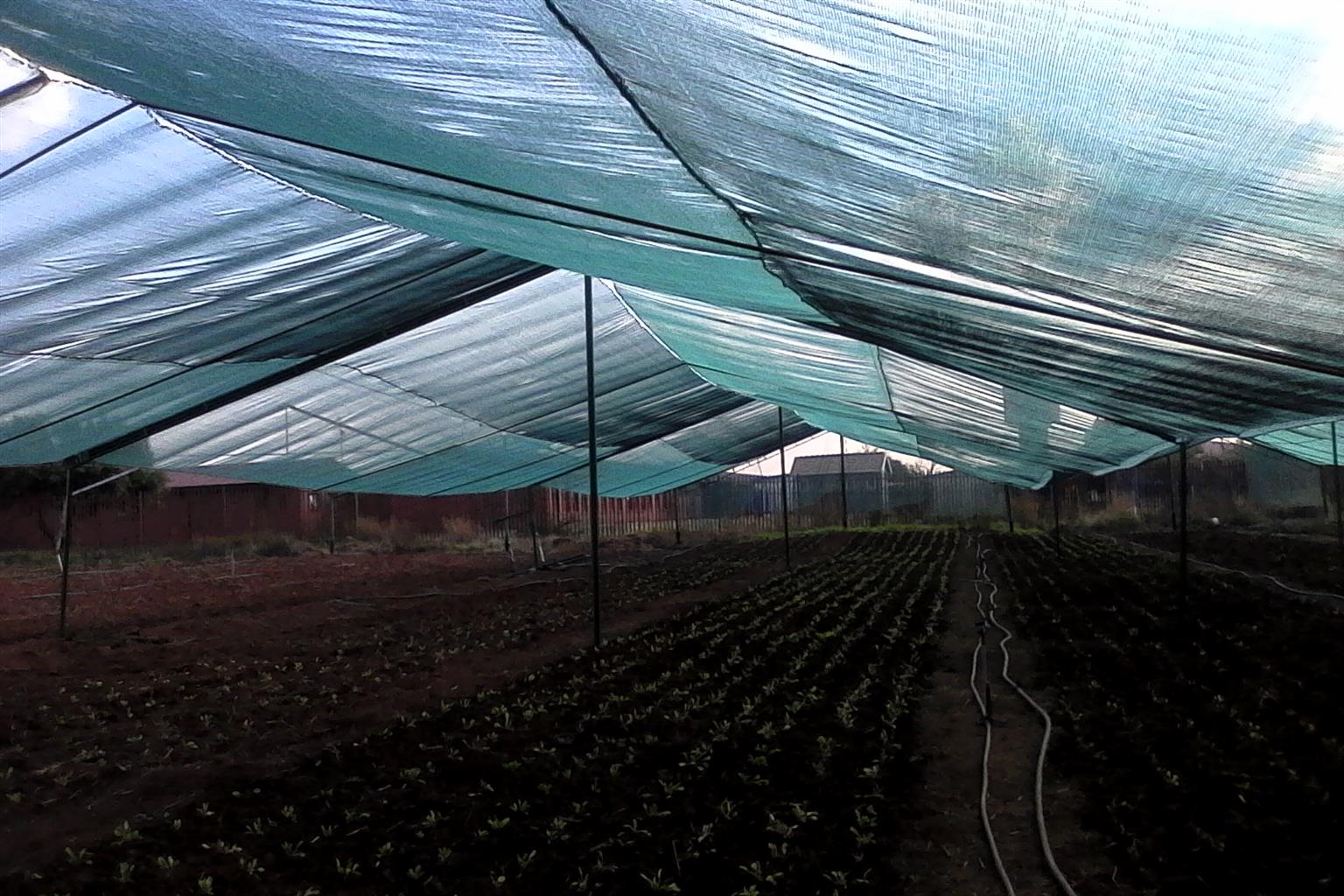 We are selling net shade tunnel for protecting agricultural crops