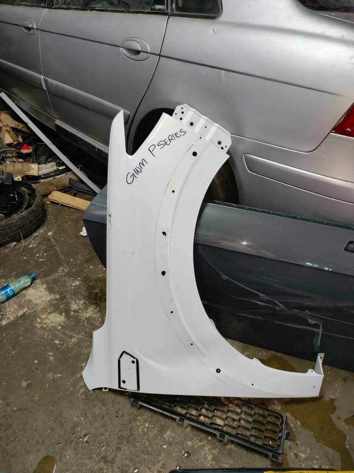 GWM P-Series Right Fender - Private Seller