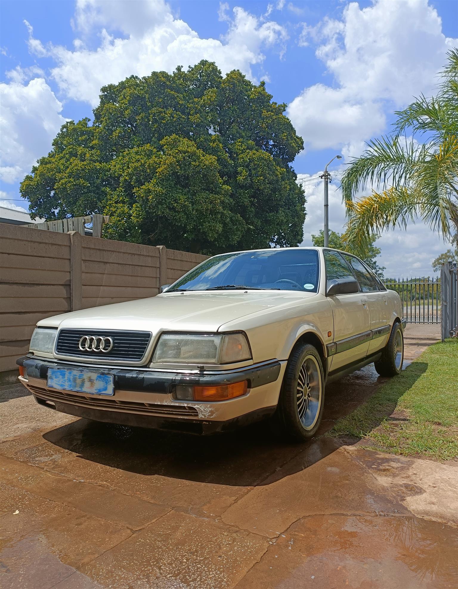 Audi D11 V8 Quattro | Junk Mail
