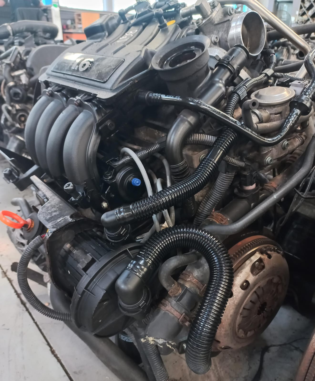 Volkswagen Golf 5 – 1.6 4 CYL Petrol Engine (BGU)