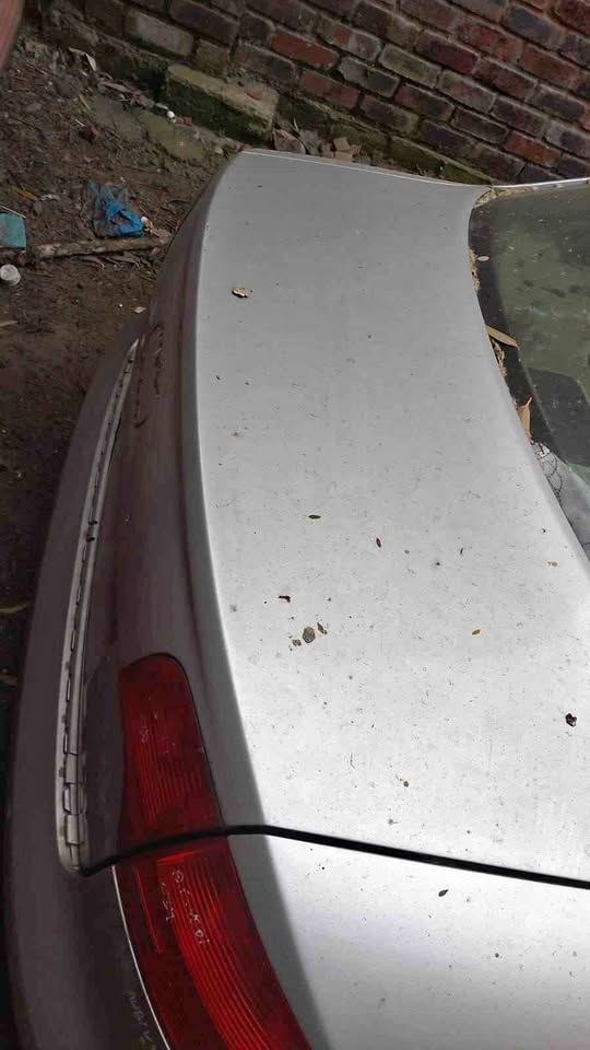 Audi A4 b7 S-line boot lid
