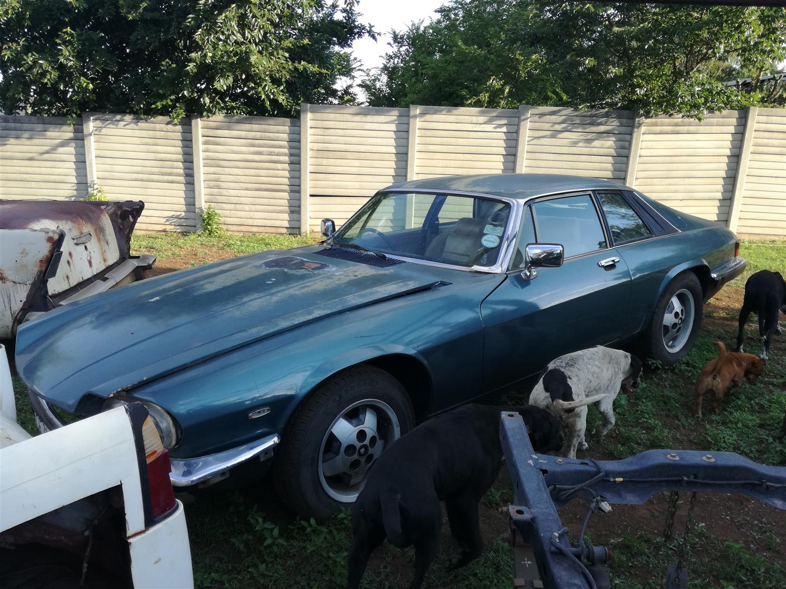 jaguar xjs spares