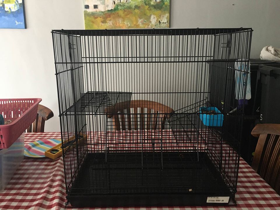 mice cages for sale
