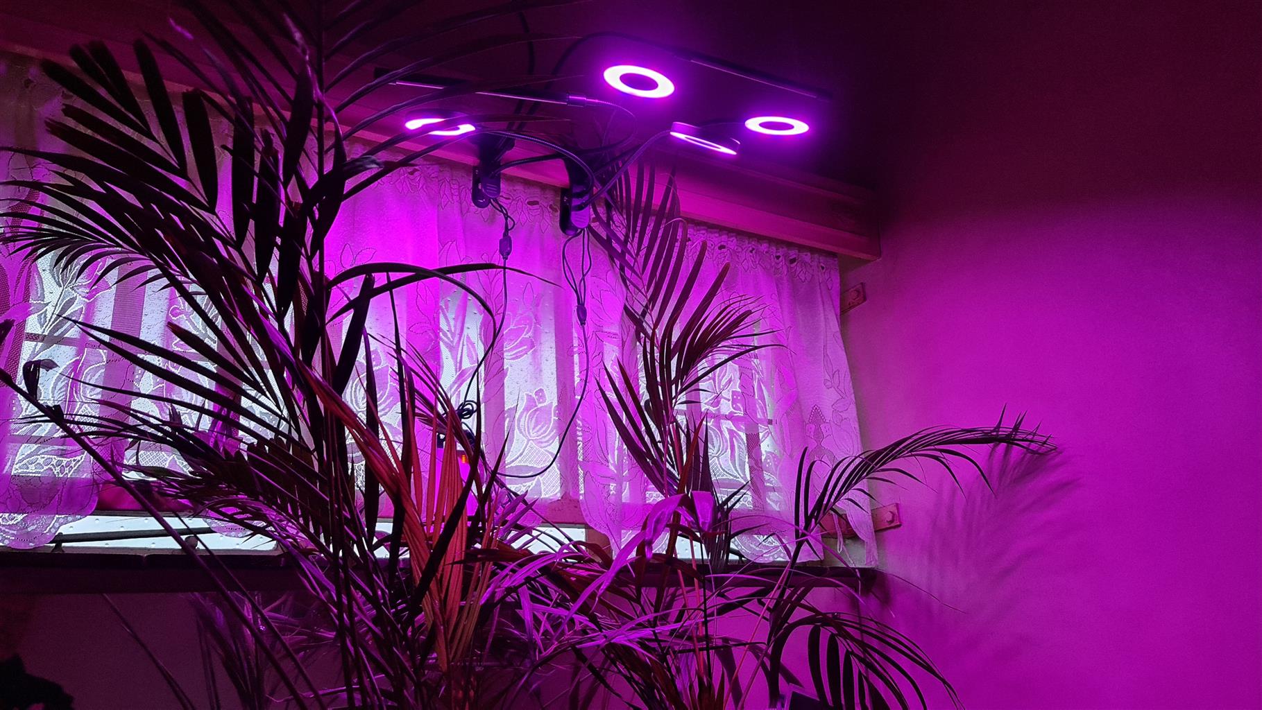 Alien Plant Growing LED Lights New