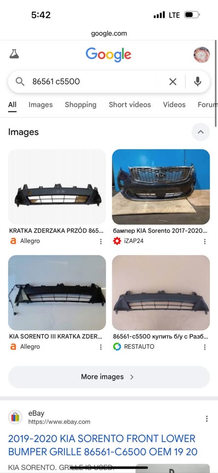 2017 kia Sorento lower bumper grille - Private Seller 2017 kia Sorento lower bumper grille - Private Seller