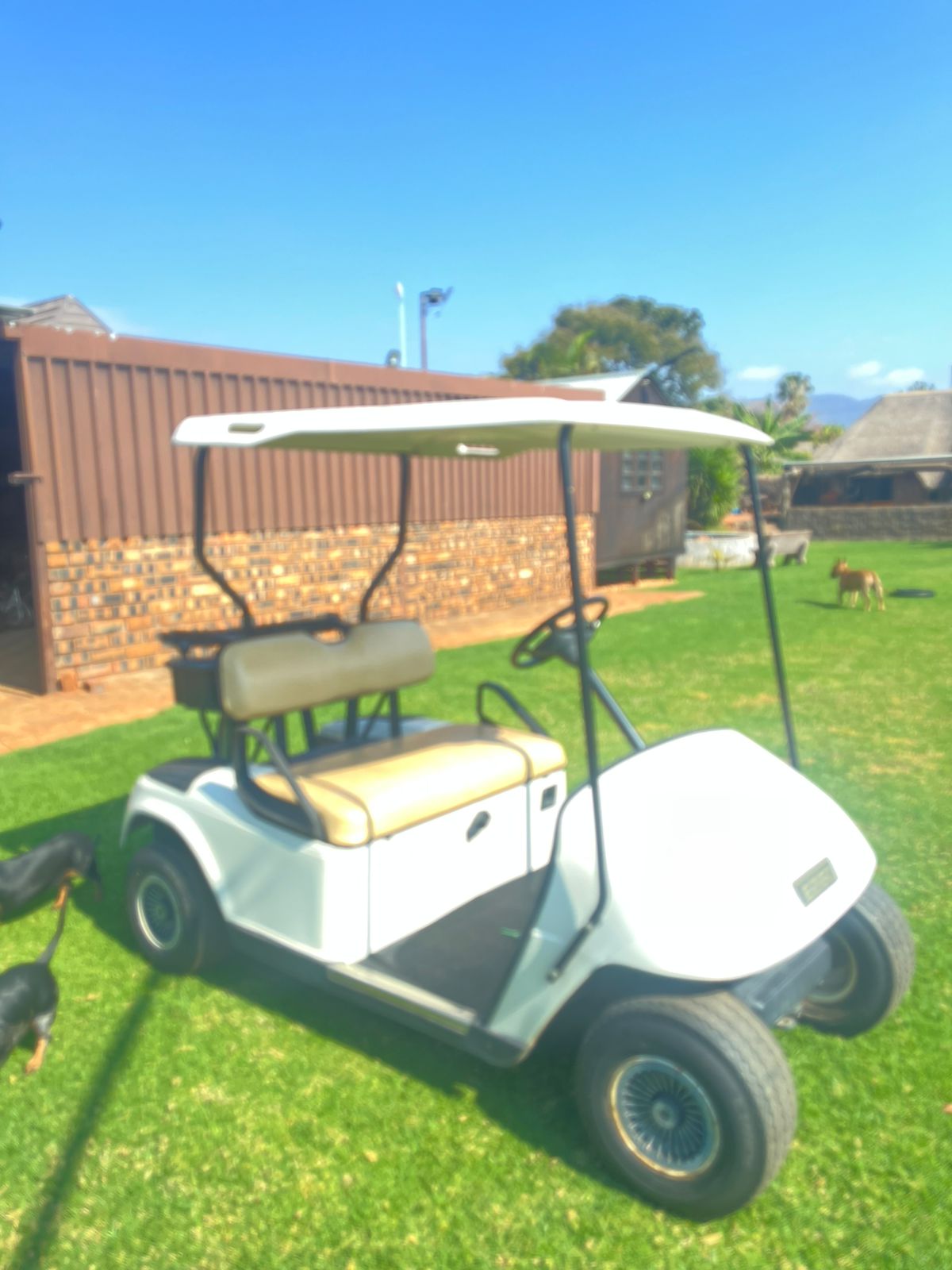 36v EZGO golf cart - Private Seller
