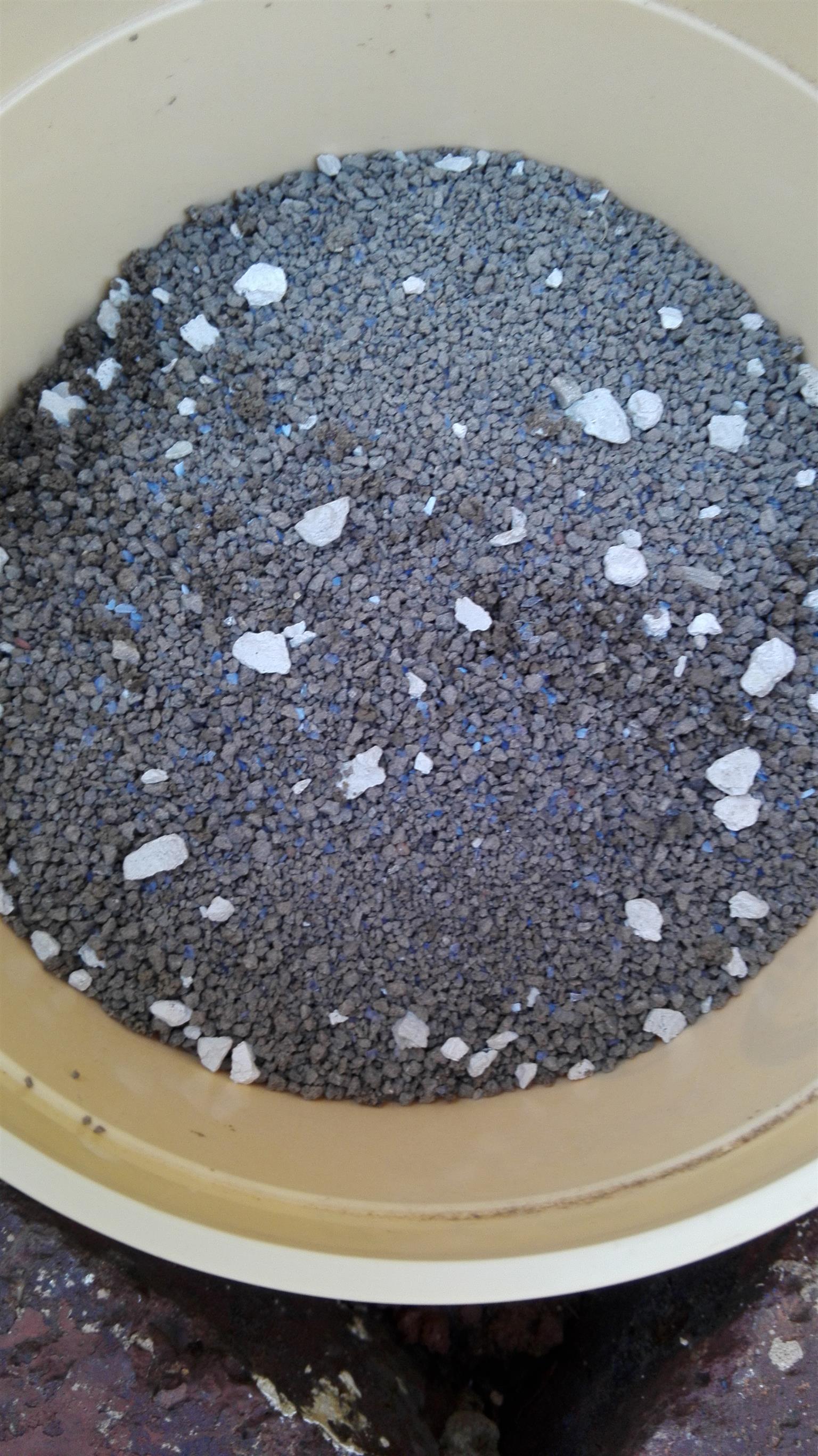 clumping cat litter bulk