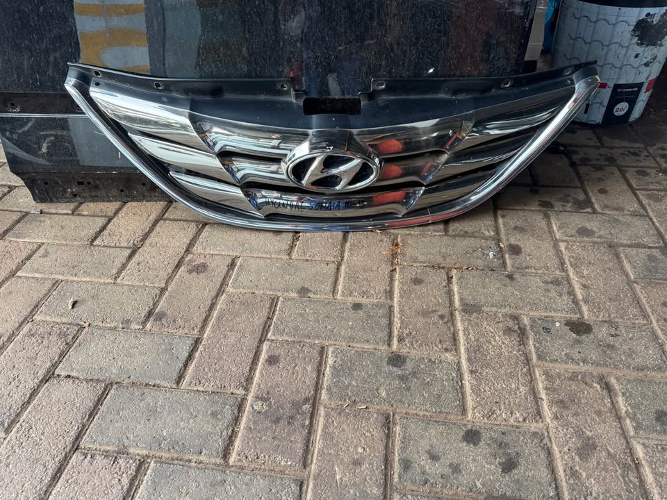 Hyundai Sonata Main Front Bumper Gril - Private Seller Hyundai Sonata Main Front Bumper Gril - Private Seller