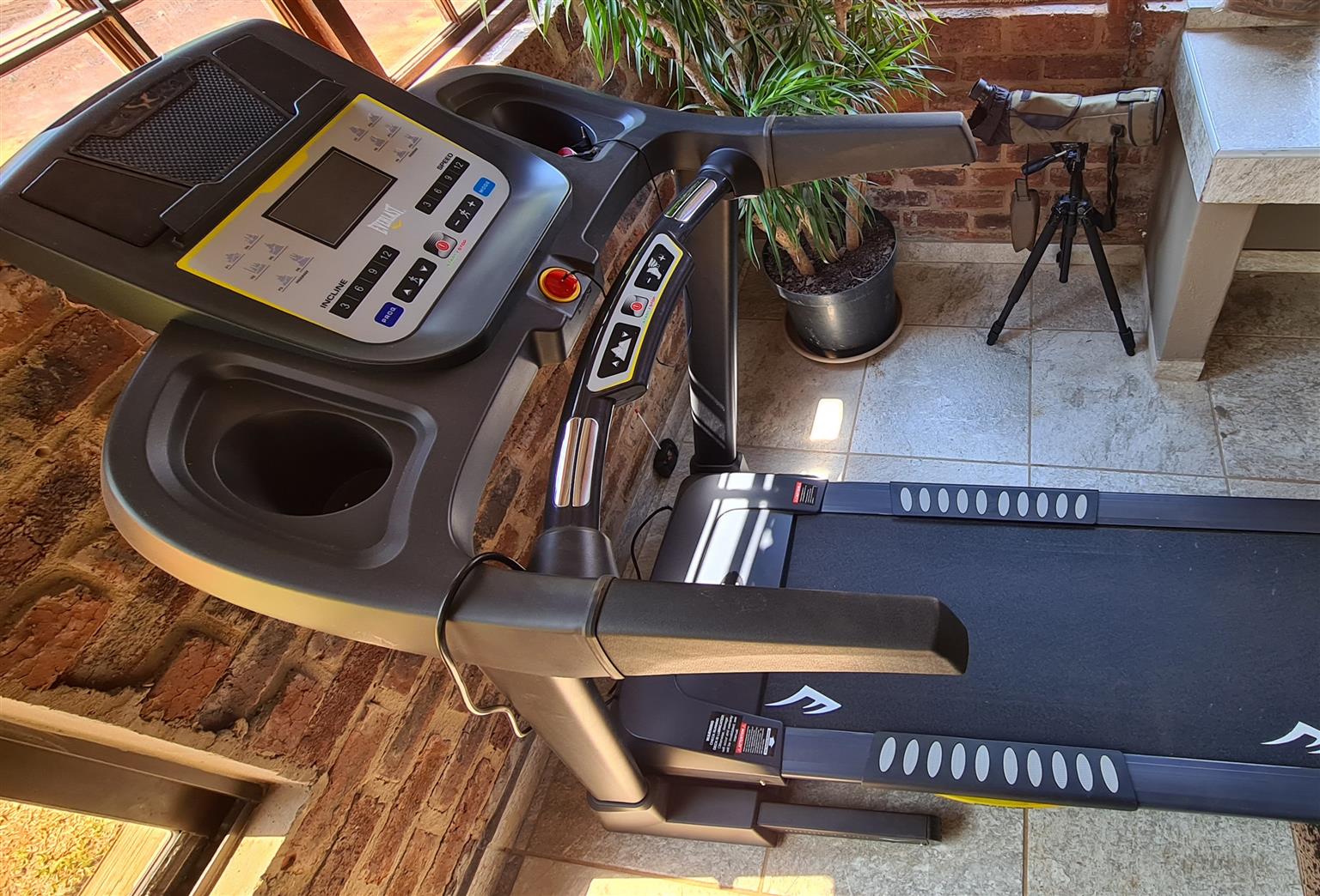 Everlast Pacer Treadmill