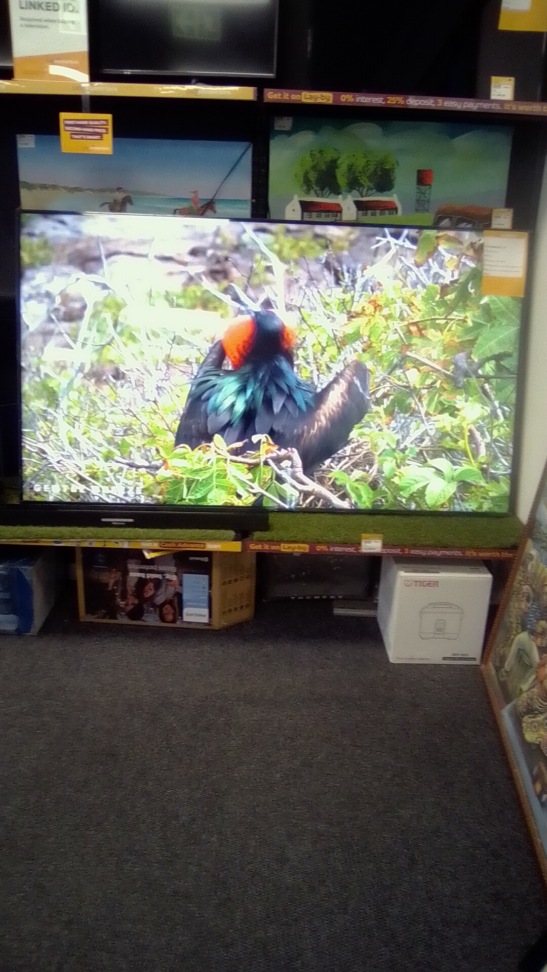 LG 75UR80006J 75 INCH 4K SMART TV