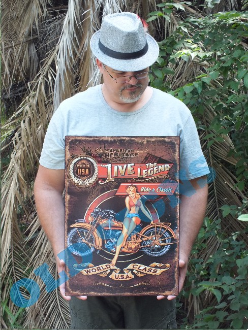 Vintage BAR  Metal Signs For Sale