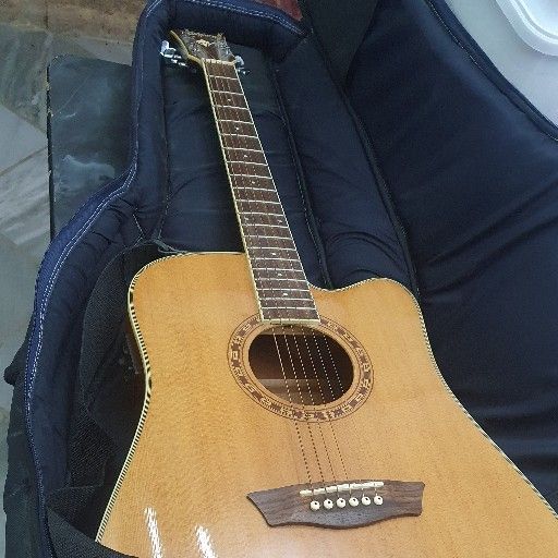 Wasburn Acoustic Electric Guitar 