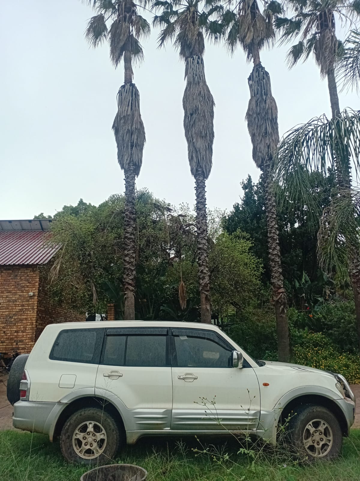 Mitsubishi CK 3.2 DID LWB 2002 Model Stripping For Spares - Private Seller Mitsubishi CK 3.2 DID LWB 2002 Model Stripping For Spares - Private Seller