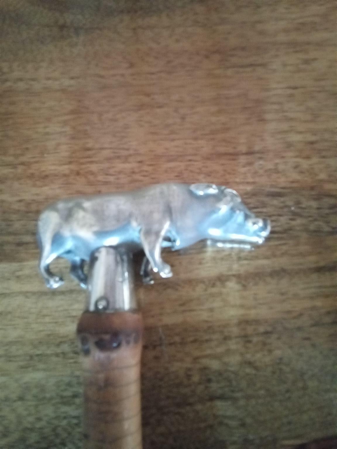 Antique  cane and pure silver walking stick