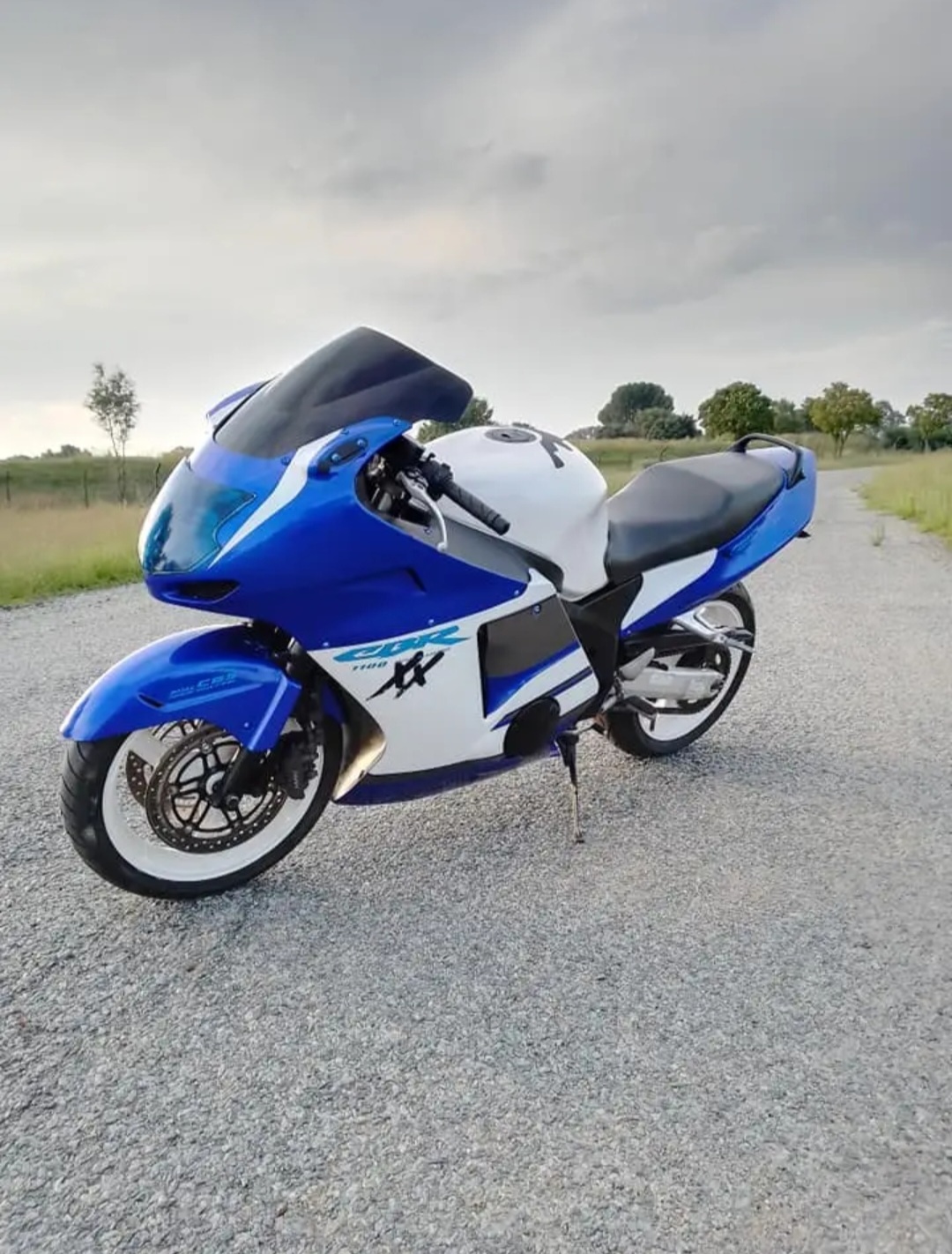 Honda blackbird for sale near online me