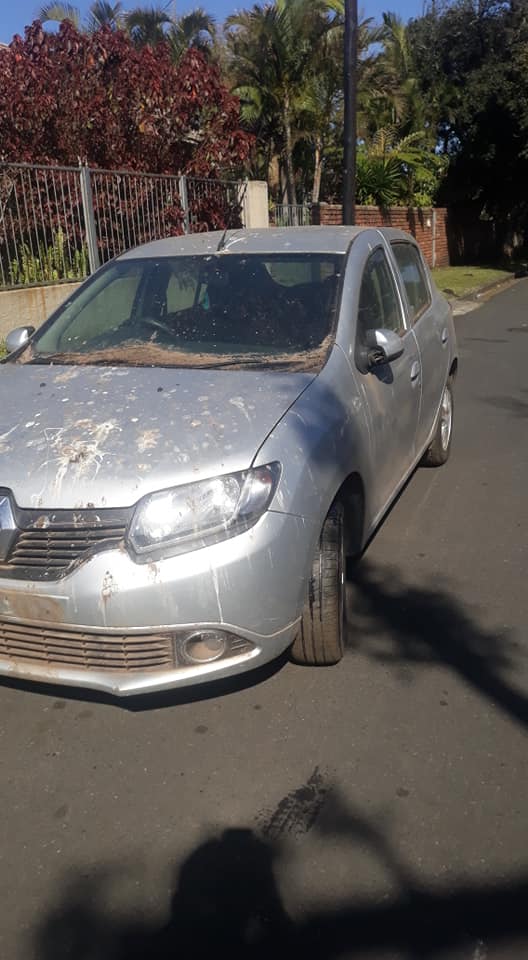 Renault sandero turbo for parts - Private Seller Renault sandero turbo for parts - Private Seller