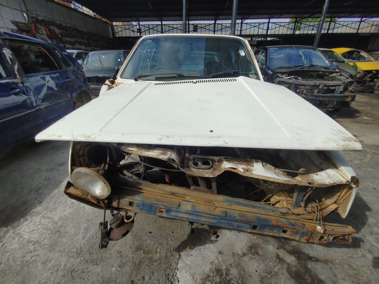 VW GOLF 1 - Private Seller
