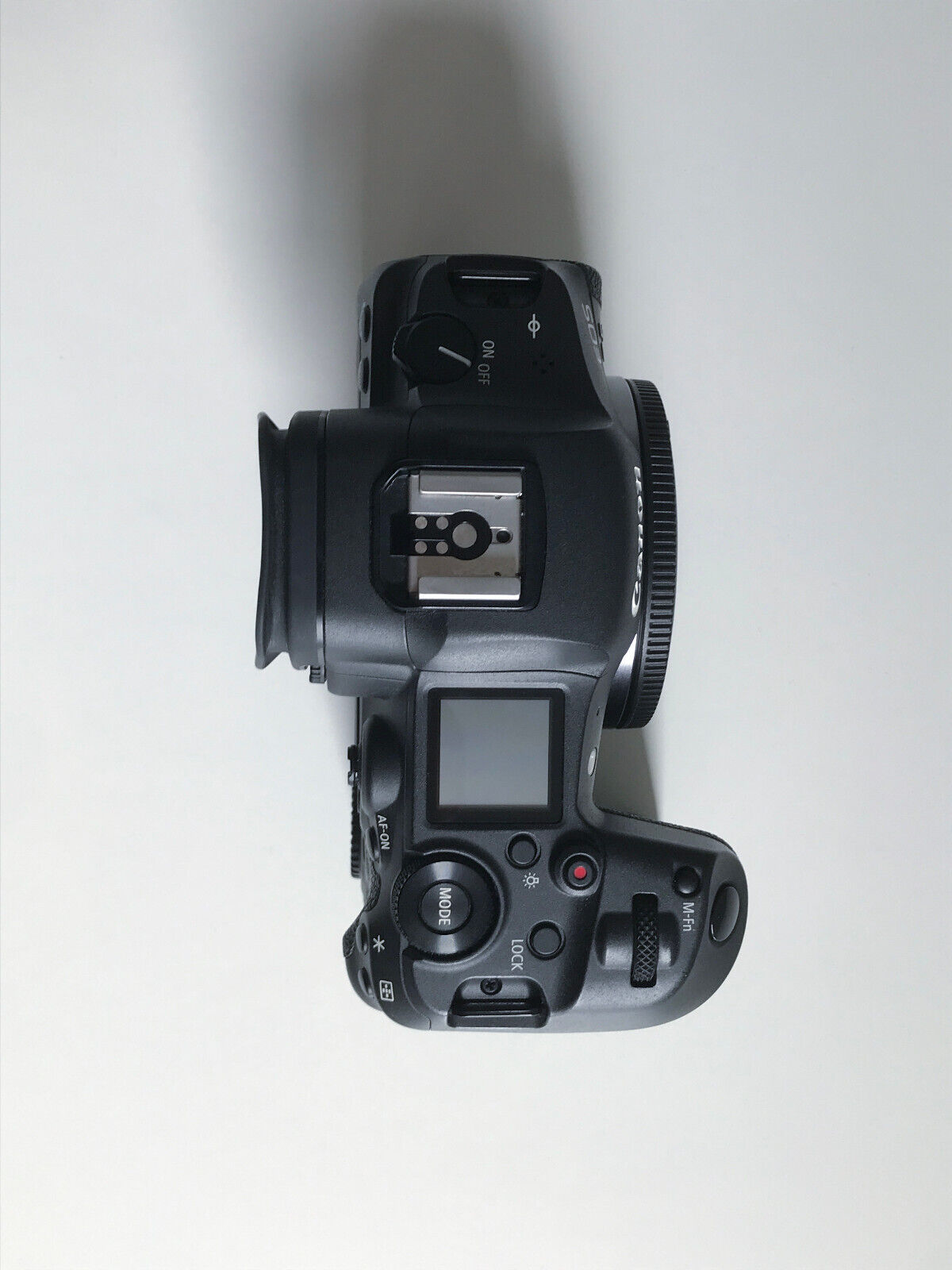 13 Months old eos r5