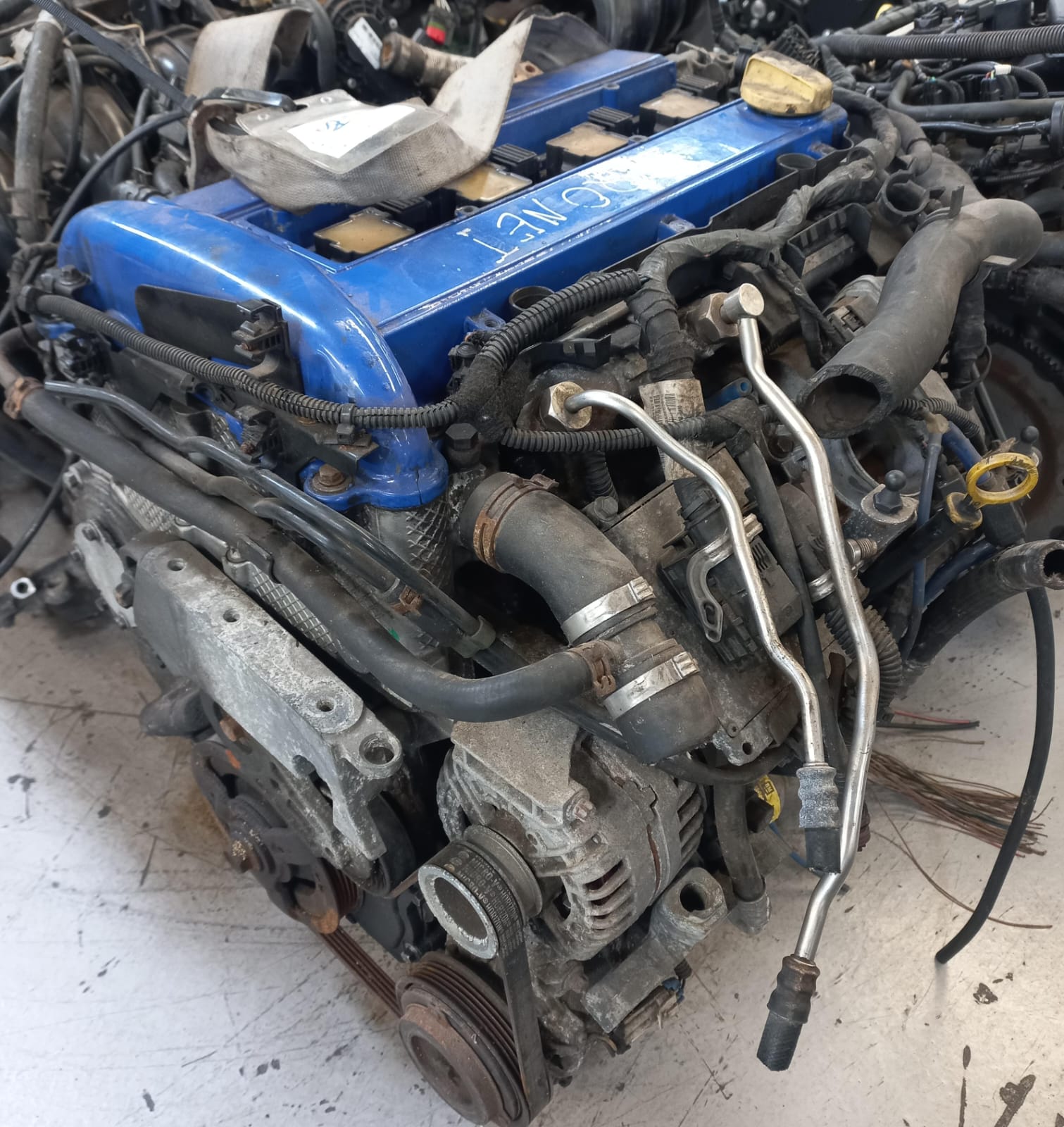 Opel Signum, Vectra-C 2.0 Petrol Engine (Z20NET) - Private Seller Opel Signum, Vectra-C 2.0 Petrol Engine (Z20NET) - Private Seller
