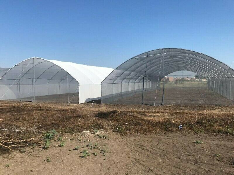 Greenhouse Design, Manufacture, Turn-Key Solutions