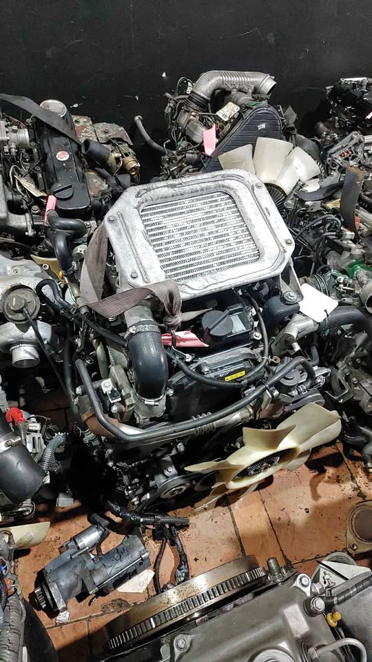 NISSAN NP300 HARD BODY YD25 2.5 DIESEL ENGINE FOR SALE - Private Seller NISSAN NP300 HARD BODY YD25 2.5 DIESEL ENGINE FOR SALE - Private Seller