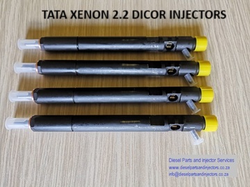 Delphi Common Rail Diesel Injectors - Repair, Recon & Exchange with Warranty - Private Seller Delphi Common Rail Diesel Injectors - Repair, Recon & Exchange with Warranty - Private Seller