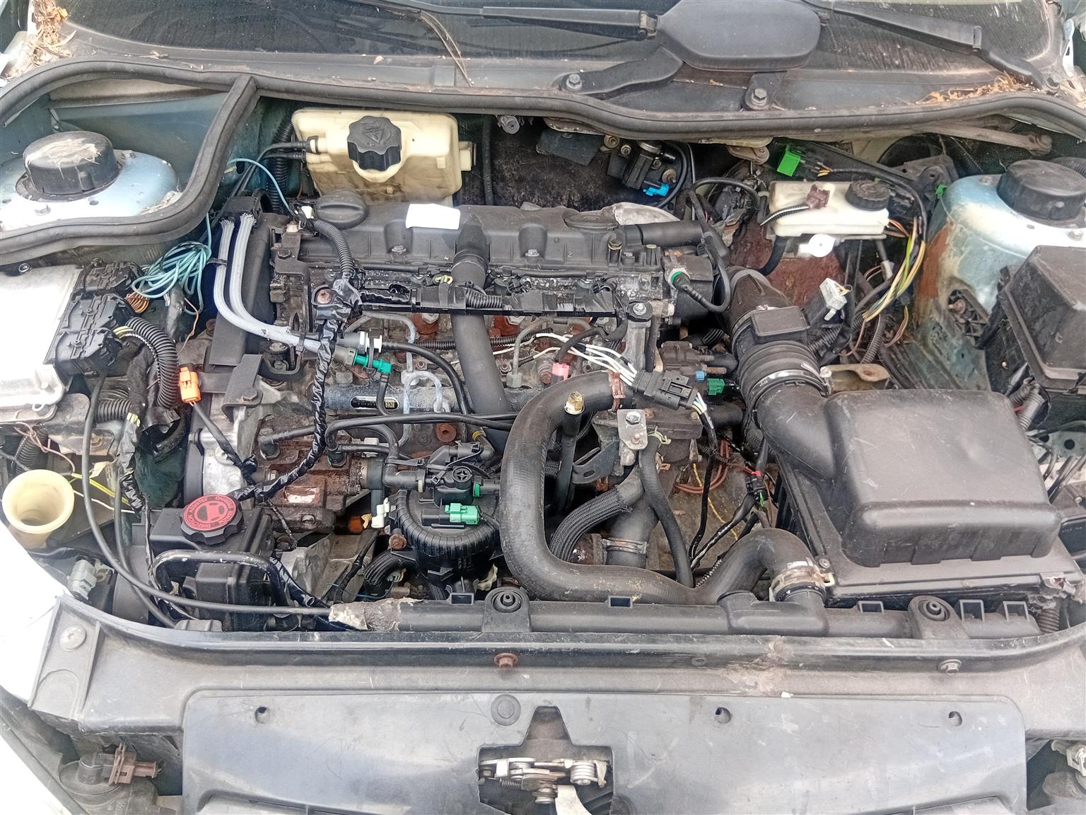 Used 2005 Peugeot 206 1.4 8V 5-door Popart Plus - Private Seller