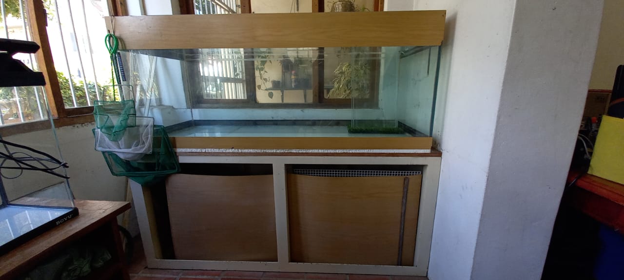 Fish Tank Large 1500x600x600 10mm glass | Junk Mail Marketplace