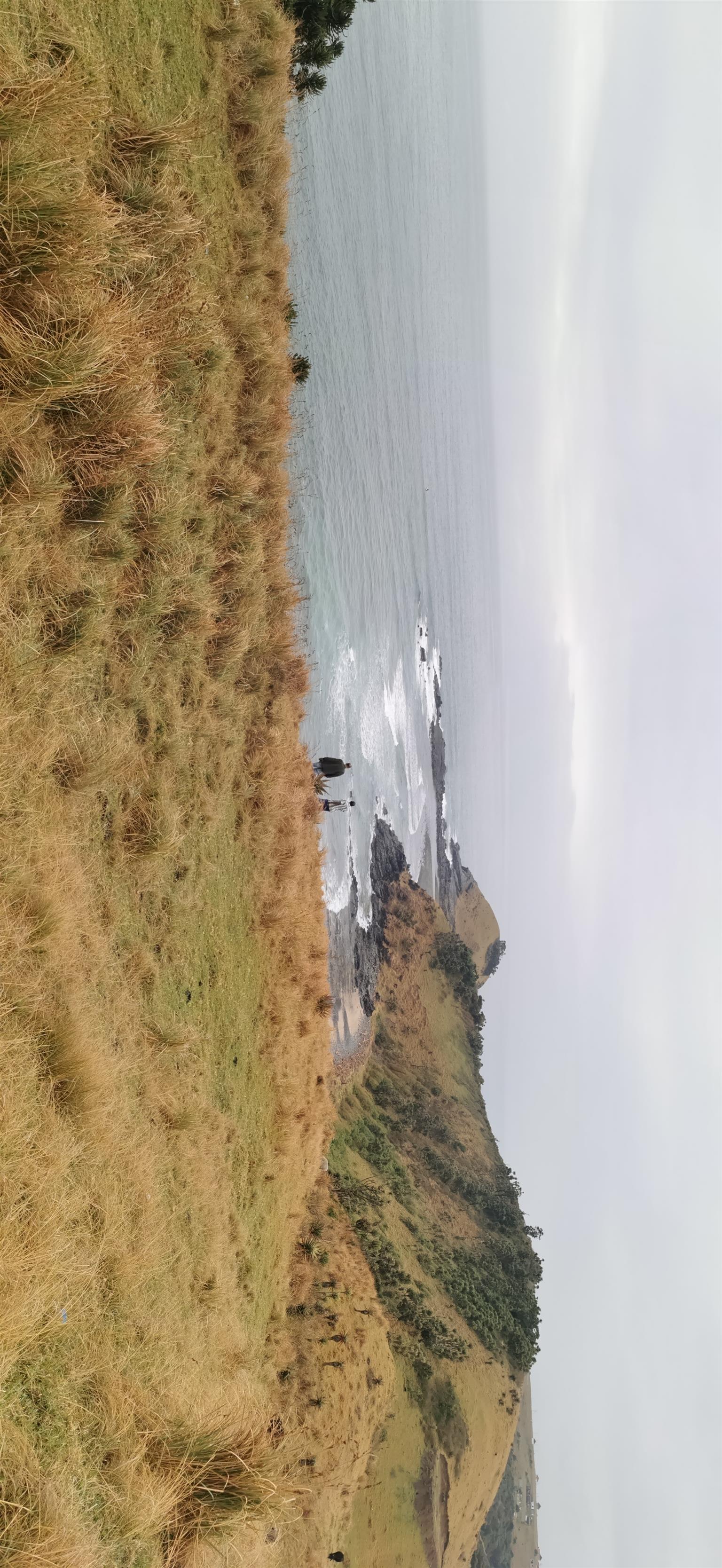 Property for sale in wildcoast | Junk Mail Marketplace