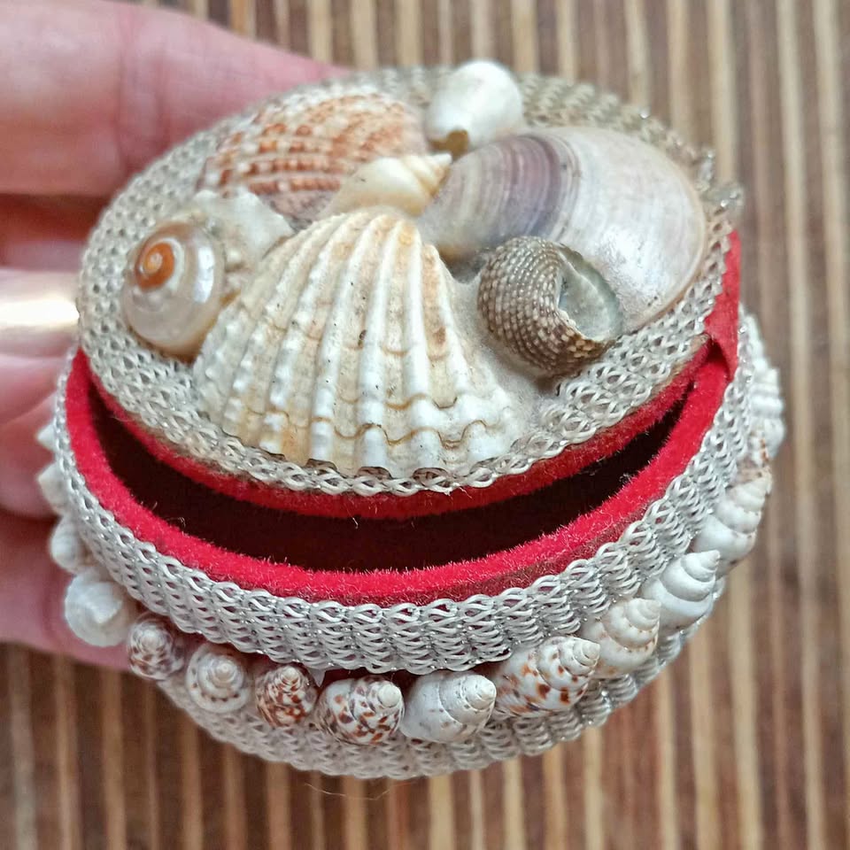 Trinket Box with Shells
