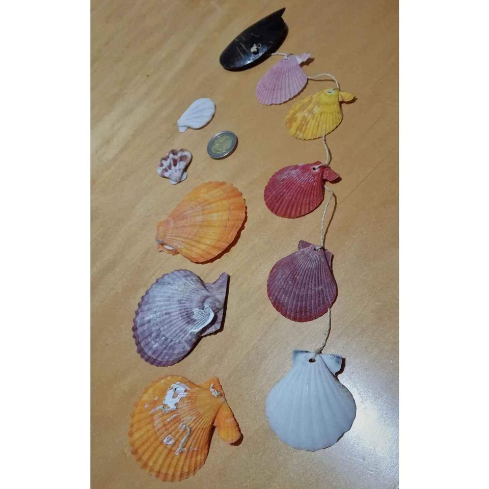 Stained Sea Shells