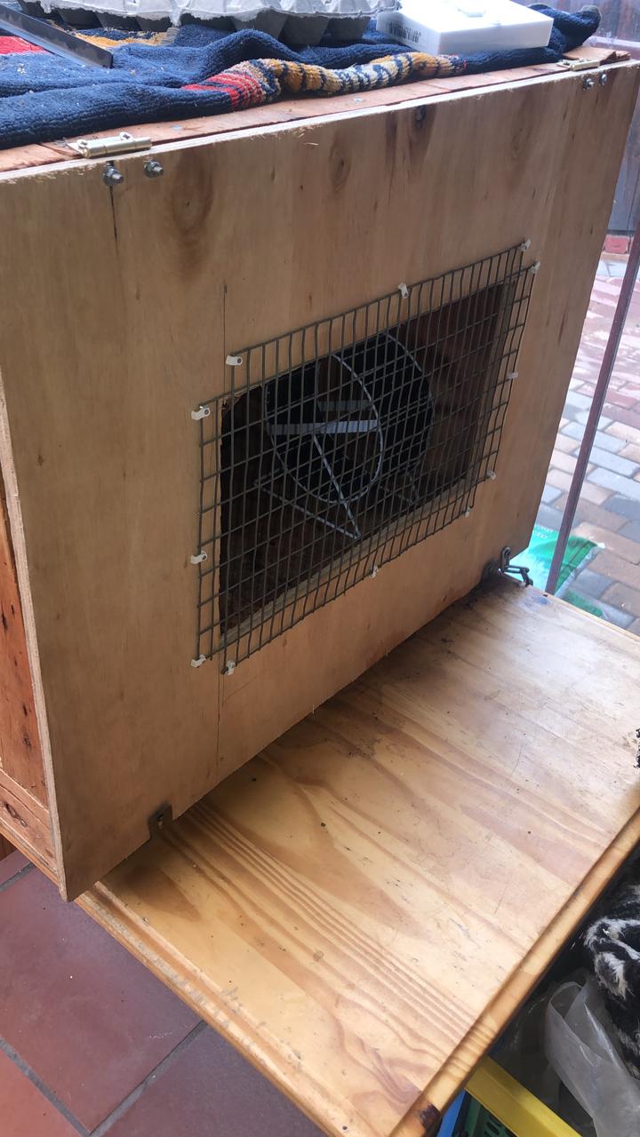 Hedgehog cage | Junk Mail
