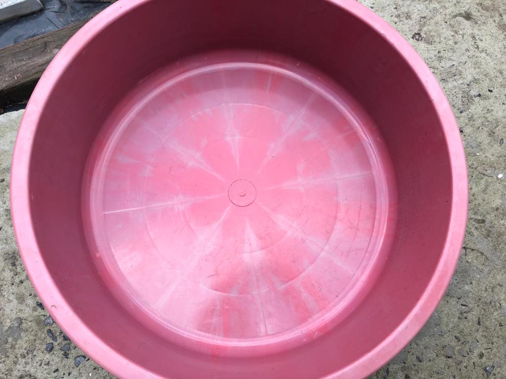 Large Pet bucket / basket / bed - priced to clear