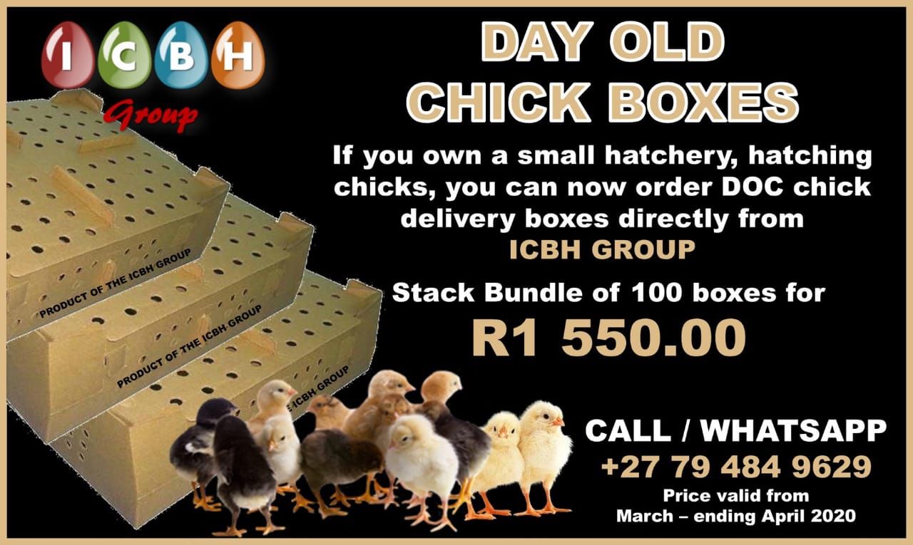 SUPPLIER OF DAY OLD CHICK BOXES