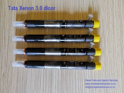 Refurbishing of Tata Xenon 2.2 and 3.0 Delphi injectors.