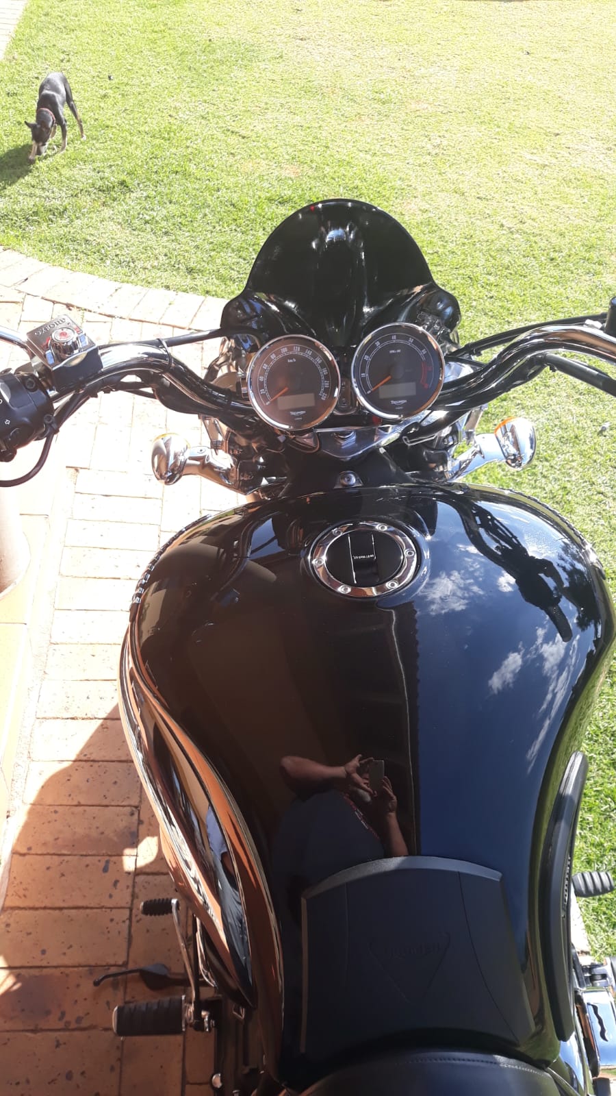 Triumph Rocket Roadster - Private Seller