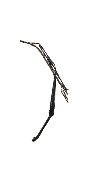 NISSAN XTRAIL WINDSCREEN WIPER ARM & BLADE ASSEMBLY 2.2 DIESEL (2003-2007) - Private Seller NISSAN XTRAIL WINDSCREEN WIPER ARM & BLADE ASSEMBLY 2.2 DIESEL (2003-2007) - Private Seller